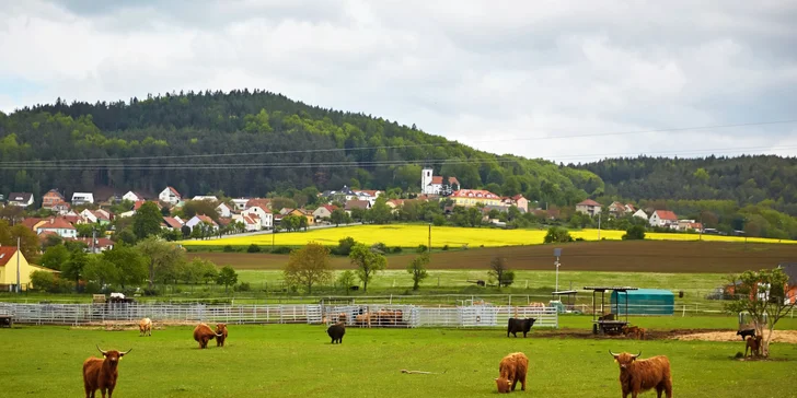 Relax kúsok od Boskovíc: pobyt s raňajkami alebo polpenziou či aj pivným kúpeľom