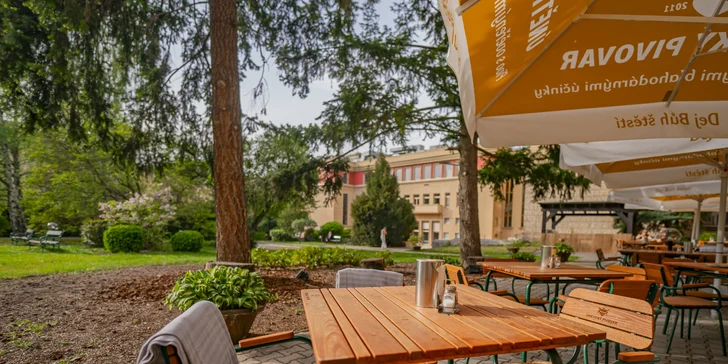 Legendárny Grand Hotel International v Prahe: pobyt s raňajkami aj michelinskou večerou, skvelá dostupnosť do centra