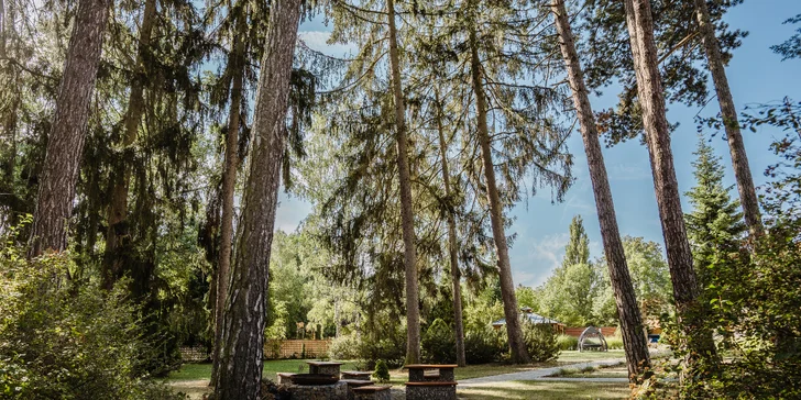 Pobyt vo Františkových Lázňach: raňajky alebo plná penzia, bazén aj procedúry