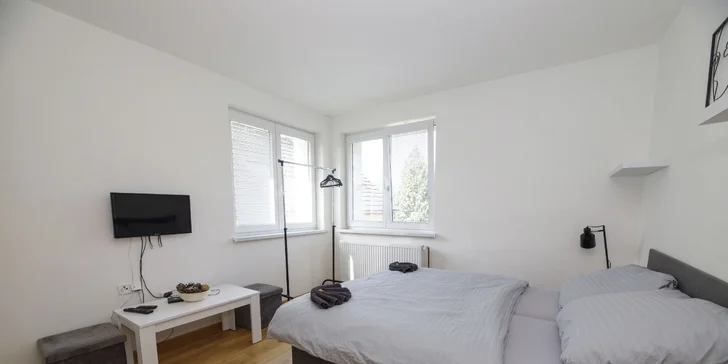 Nové apartmány v malebnom prostredí pri rybníkoch v Plzni až pre 6 osôb