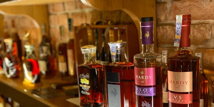 Penzión len 500 m od zámku Valtice s raňajkami aj degustáciou koňakov