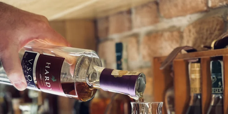 Penzión len 500 m od zámku Valtice s raňajkami aj degustáciou koňakov