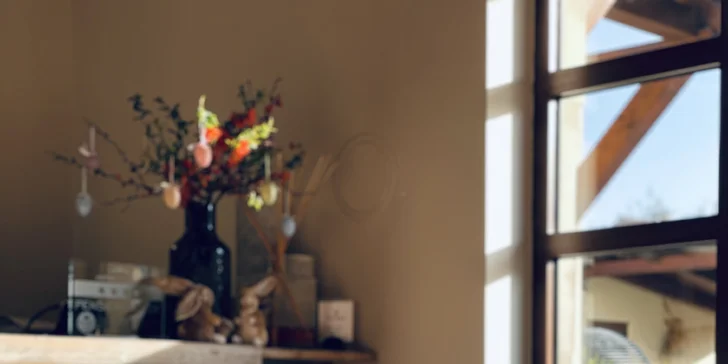 Penzión len 500 m od zámku Valtice s raňajkami aj degustáciou koňakov