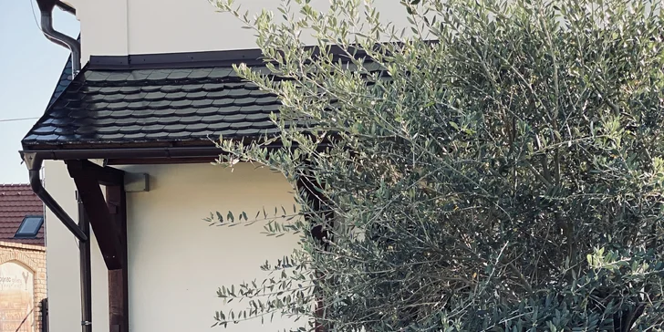 Penzión len 500 m od zámku Valtice s raňajkami aj degustáciou koňakov