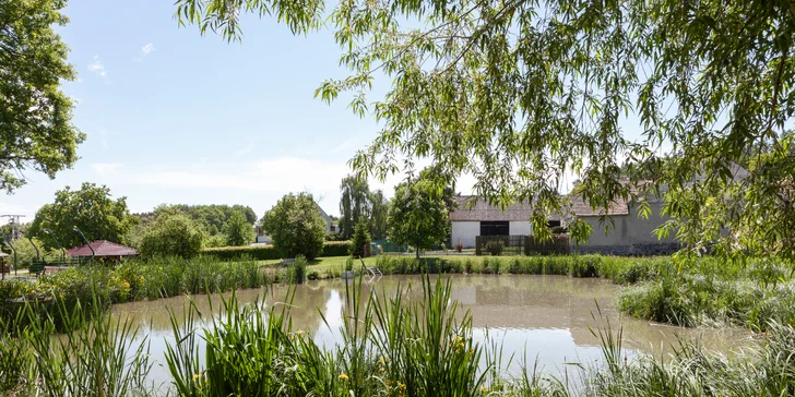 Pobyt v rezorte s jazdiarňou a rybníkmi: neobmedzený wellness, raňajky aj zľava na jazdecké lekcie