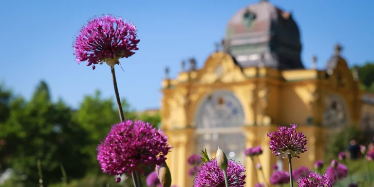 Pobyt v 4* hoteli v Mariánskych Lázňach: jedlo, vyhrievaný bazén aj wellness procedúry