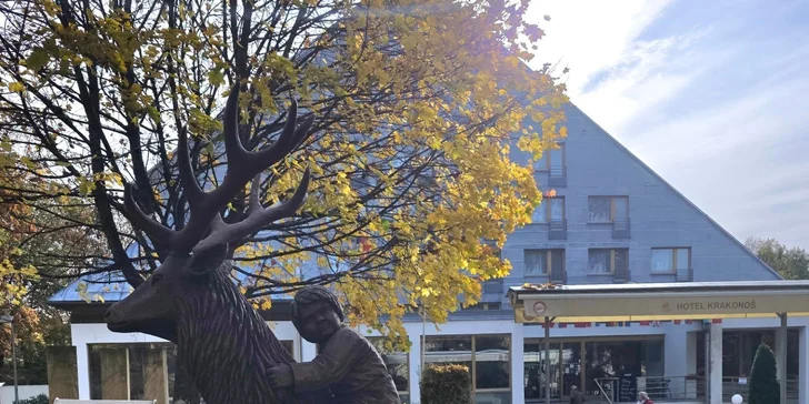 Pobyt v Mariánkach s raňajkami alebo polpenziou, bazénom, soľnou jaskyňou a množstvom zliav