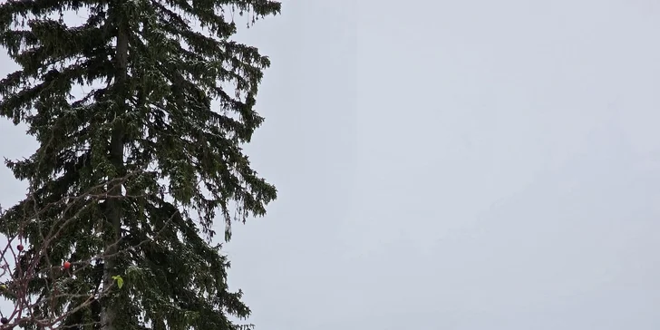 Pobyt v Mariánkach s raňajkami alebo polpenziou, bazénom, soľnou jaskyňou a množstvom zliav