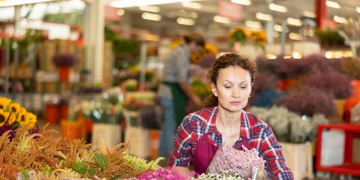 Jednodňový zájazd na najväčšiu kvetinovú výstavu v Rakúsku v Tullne