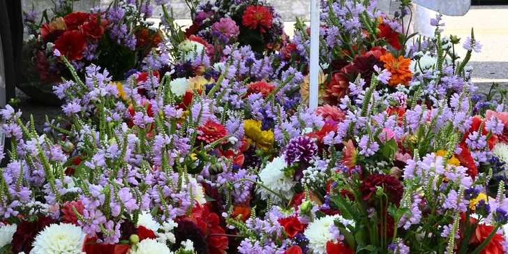 Jednodňový zájazd na najväčšiu kvetinovú výstavu v Rakúsku v Tullne