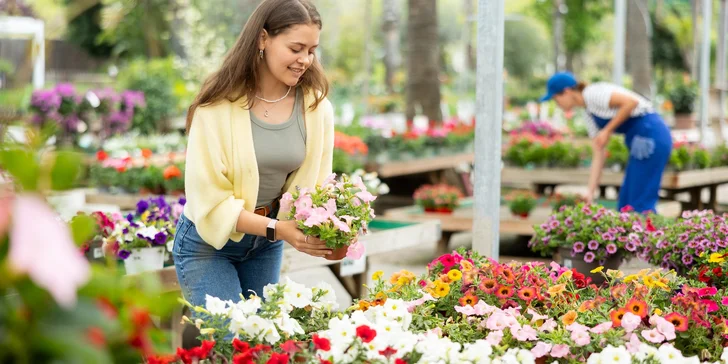 Jednodňový zájazd na najväčšiu kvetinovú výstavu v Rakúsku v Tullne