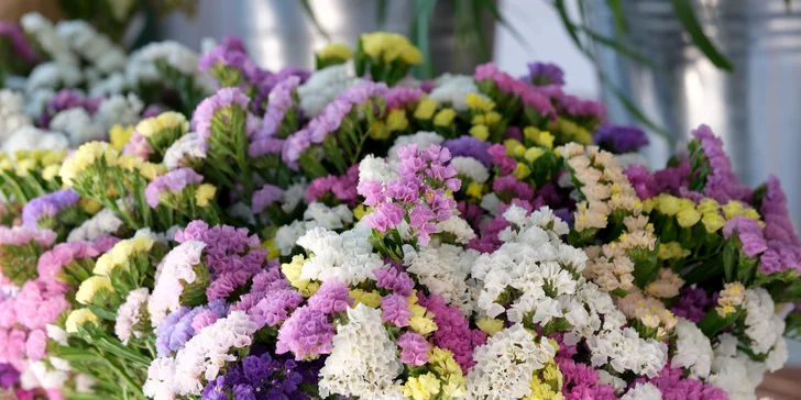 Jednodňový zájazd na najväčšiu kvetinovú výstavu v Rakúsku v Tullne