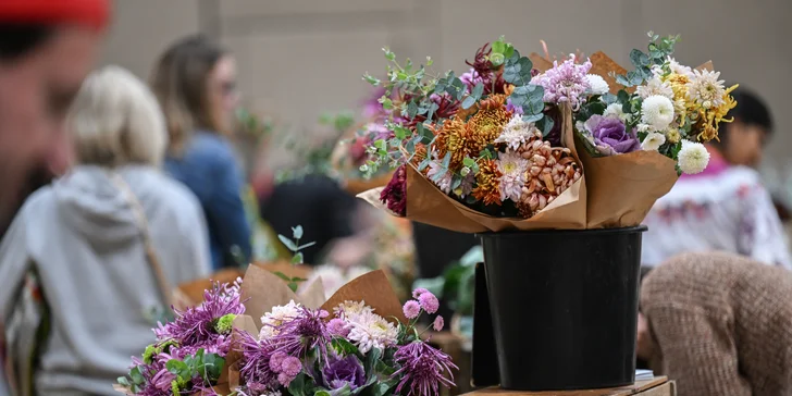 Jednodňový zájazd na najväčšiu kvetinovú výstavu v Rakúsku v Tullne