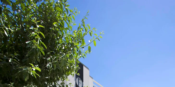 Relax v Rimini: hotel priamo pri pláži, raňajky, polpenzia alebo plná penzia, bazén aj wellness