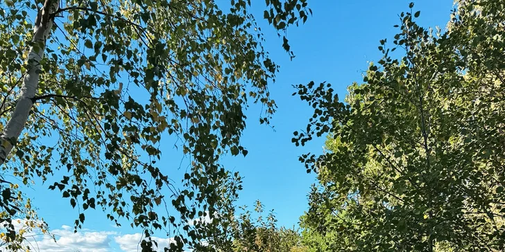 Plne vybavený posed pre 2 osoby v srdci prírody kúsok od CHKO Brdy