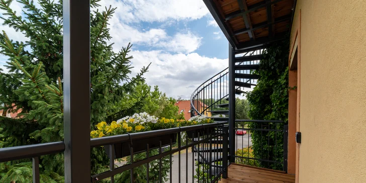 Dovolenka v Poděbradoch: apartmán alebo izba s raňajkami, 3 km od centra a kolonády