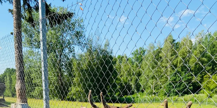 Relax vo Františkových Lázňach: raňajky, wellness aj procedúry