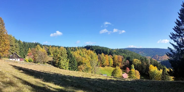 Krkonošská rozprávka: penzión s raňajkami alebo polpenziou, možnosť wellness