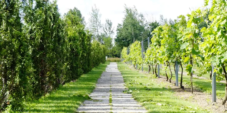 Oddych v krásnej rezidencii na západe Poľska: polpenzia, fitness aj zľava na spa