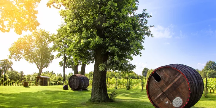 Oddych v krásnej rezidencii na západe Poľska: polpenzia, fitness aj zľava na spa