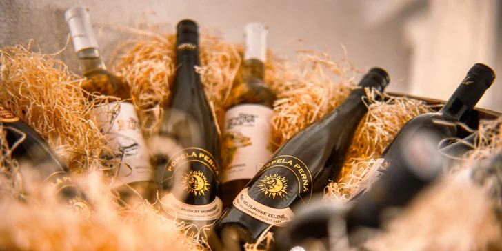 Luxusný kúpeľný pobyt v Jeseníkoch: raňajky alebo polpenzia aj neobmedzený wellness