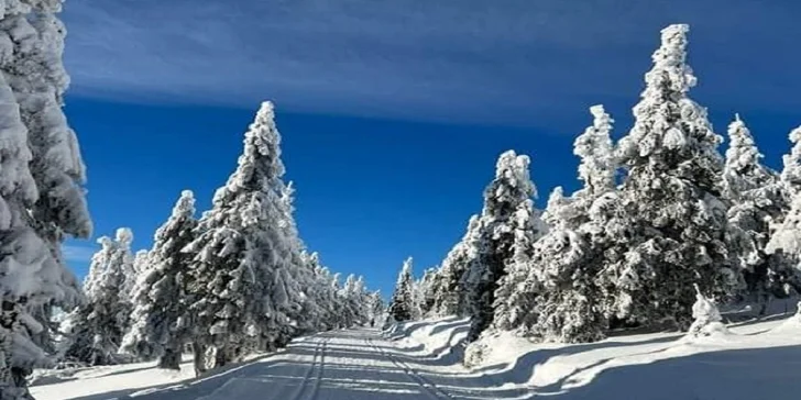Luxusný kúpeľný pobyt v Jeseníkoch: raňajky alebo polpenzia aj neobmedzený wellness