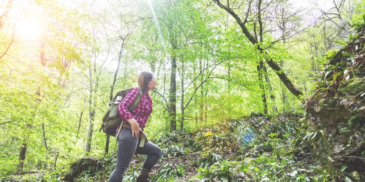 Pohoda v Sasku: 4* hotel s raňajkami aj polpenziou, neobmedzený wellness, výlety do prírody