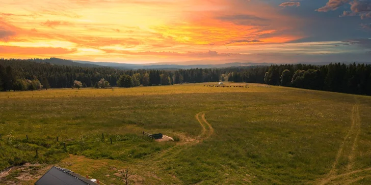 Skryte sa pred ruchom miest: krásny tiny house na samote neďaleko Lipna