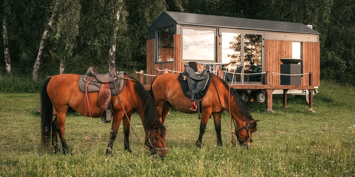 Tiny House Louis na Lipensku: skvelé vybavenie vrátane kuchyne a kúpeľne, prekrásny výhľad