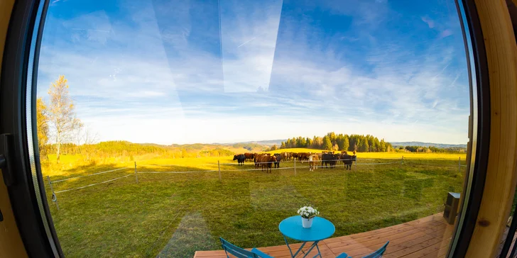 Glamping blízko Lipna: tiny house až pre 4 os. s vonkajšou saunou, ochladzovacou kadiou a grilom