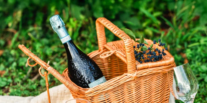 Za romantikou do Ostravy: tiny house s kuchyňou, Netflixom aj terasou s posedením