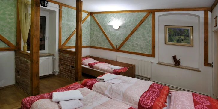 Krušné hory aj s jedlom: vybavený apartmán alebo chalupa až pre 14 osôb