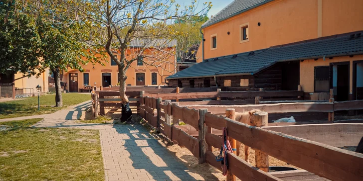Pobyt na farme s koňmi, prasiatkami aj ovcami kúsok od Mosteckého jazera aj vrátane raňajok