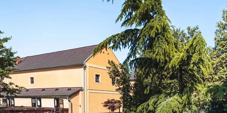 Pobyt na farme s koňmi, prasiatkami aj ovcami kúsok od Mosteckého jazera aj vrátane raňajok