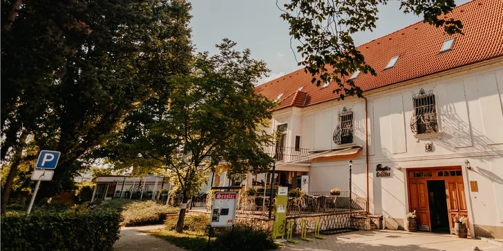 Wellness, masáž, voucher do reštaurácie, pivný kúpeľ alebo bowling v Penzióne Sessler