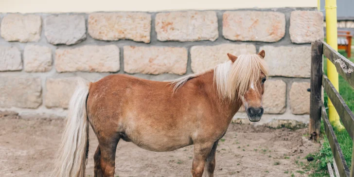 Pobyt v Lužických horách: raňajky aj fľaša prosecca a vstup do sauny