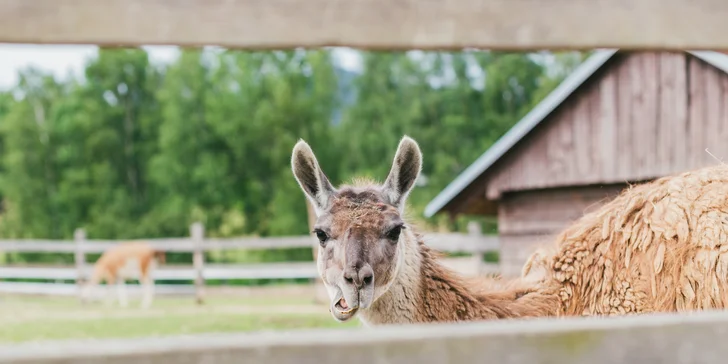 Pobyt v Lužických horách: raňajky aj fľaša prosecca a vstup do sauny