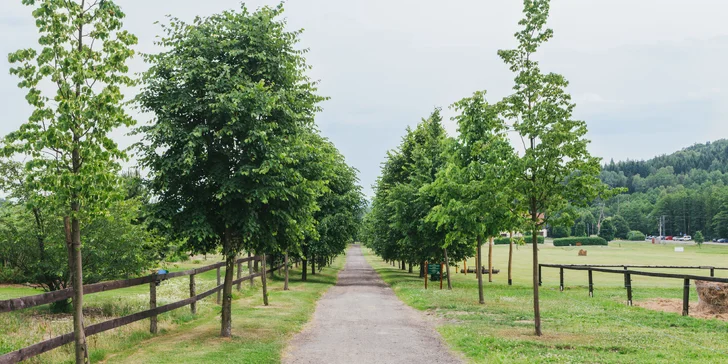 Pobyt v Lužických horách: raňajky aj fľaša prosecca a vstup do sauny