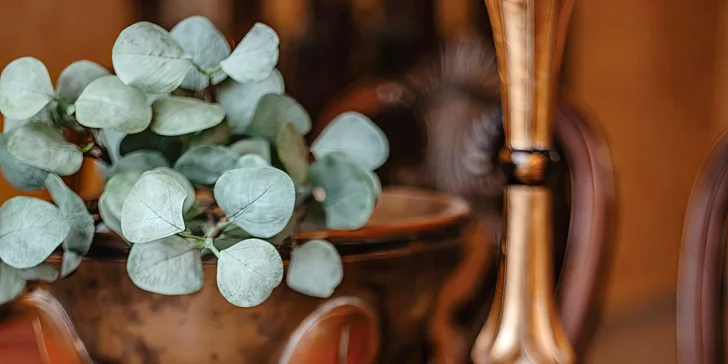 Pobyt v centre Chomutova: historický hotel s raňajkami alebo polpenziou