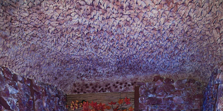 Poľské Jizerky s polpenziou alebo plnou penziou aj wellness procedúrami