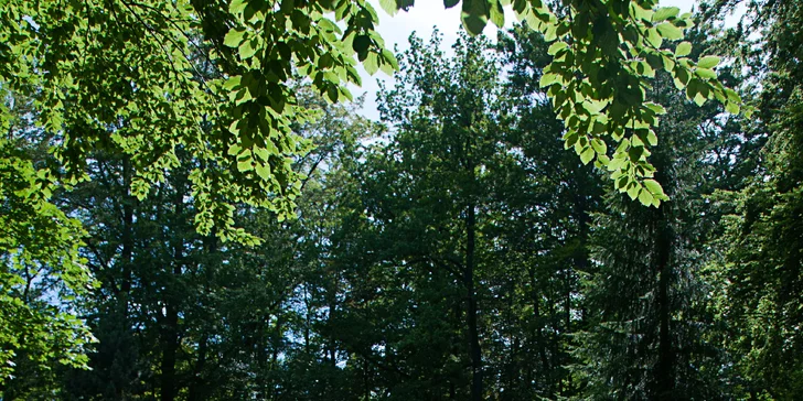 Poľské Jizerky s polpenziou alebo plnou penziou aj wellness procedúrami