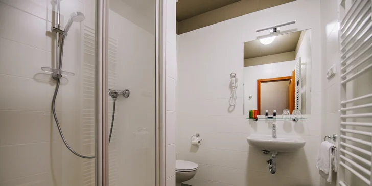 Pobyt na juhu Moravy s raňajkami, večerou aj ochutnávkou vín a syrovým tanierom