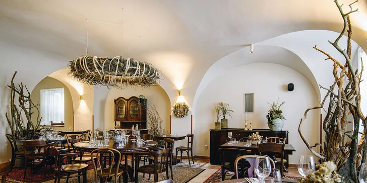 Pobyt na juhu Moravy s raňajkami, večerou aj ochutnávkou vín a syrovým tanierom