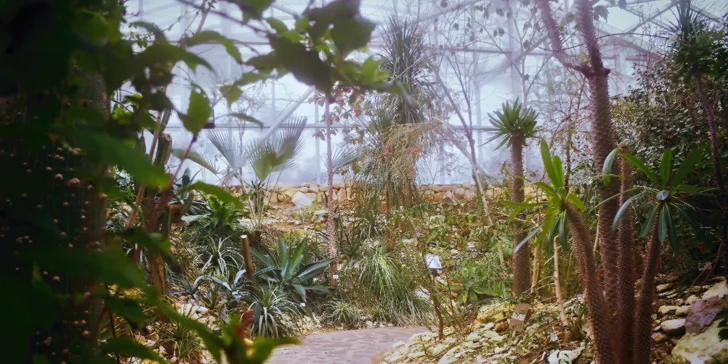 Naberte sily v Tepliciach: oddychový pobyt v kúpeľnom meste s raňajkami a sektom