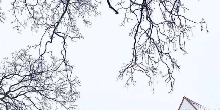 Pobyt na južnej Morave: raňajky, degustácia aj fľaša vína