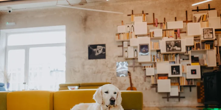 Dizajnový smarthotel v Olomouci: pobyt kúsok od centra s možnosťou privátnej sauny