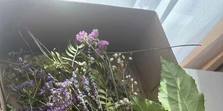 Zážitkové maľovanie obrazov: neónové alebo odtlačkami rastlín, skupinové alebo aj individuálne