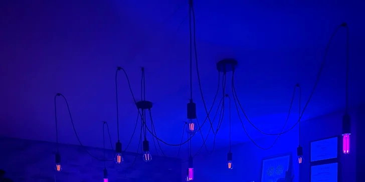 Zážitkové maľovanie obrazov: neónové alebo odtlačkami rastlín, skupinové alebo aj individuálne