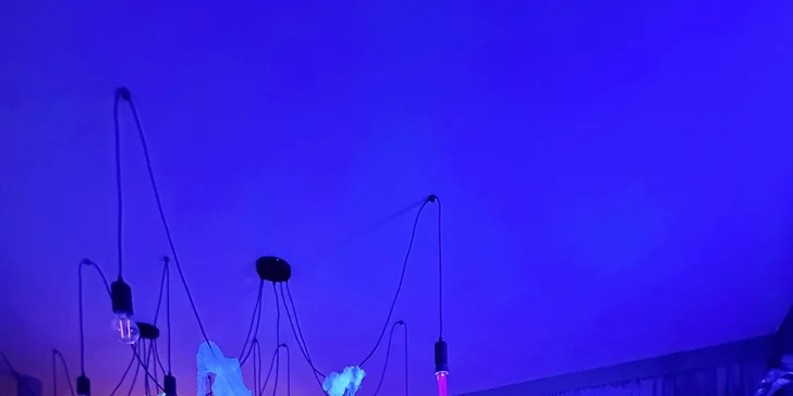 Zážitkové maľovanie obrazov: neónové alebo odtlačkami rastlín, skupinové alebo aj individuálne