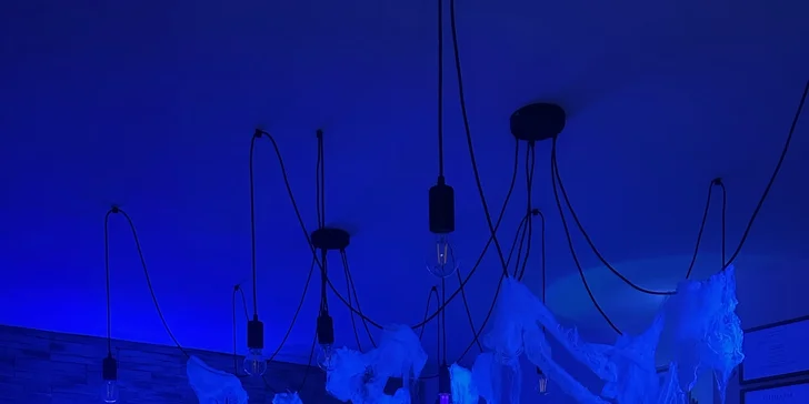 Zážitkové maľovanie obrazov: neónové alebo odtlačkami rastlín, skupinové alebo aj individuálne